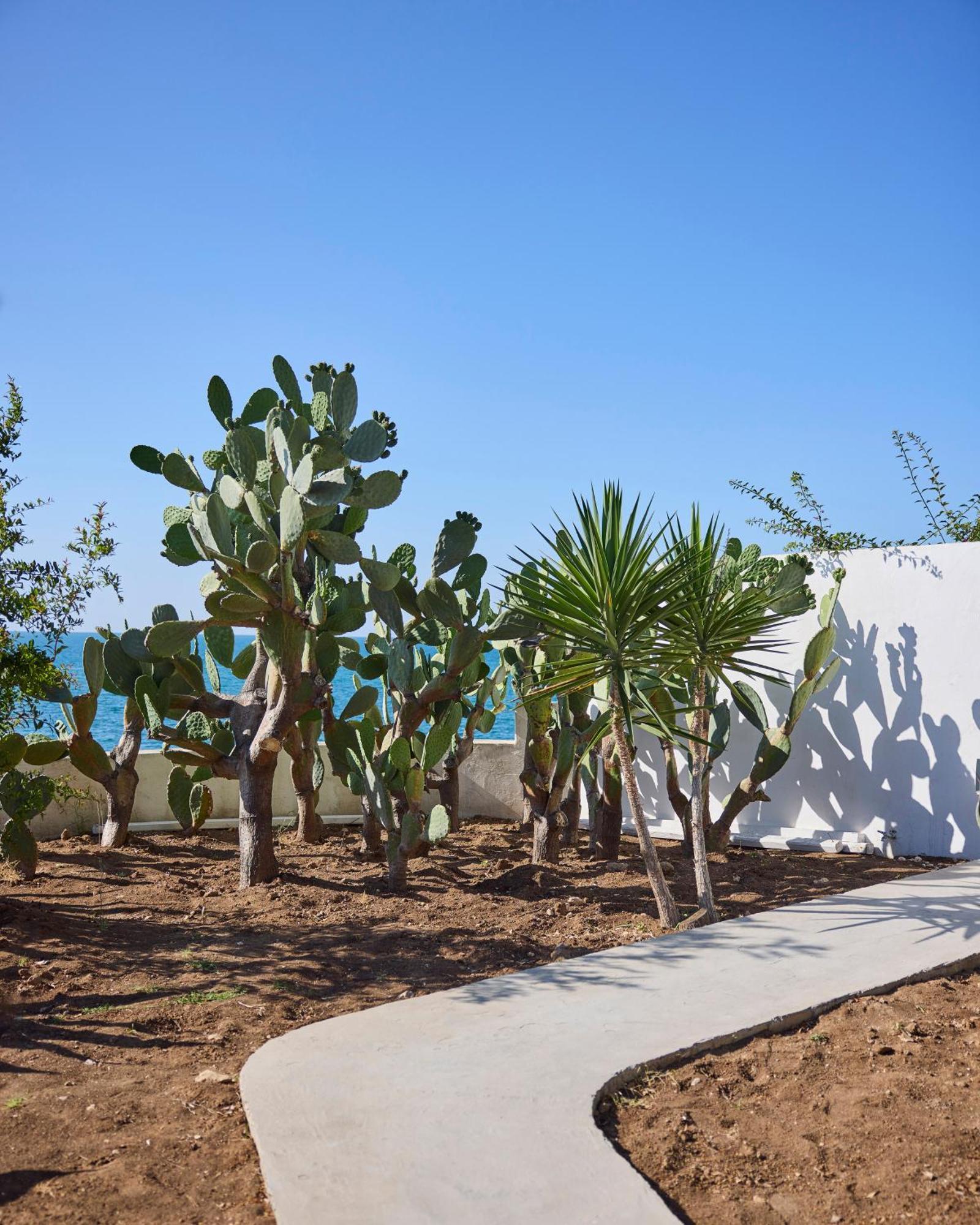La Casa E Il Mare, Private Bay Hotel Mattinata Exteriér fotografie